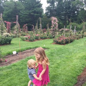 Meet your Posher, Novella